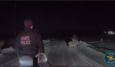 Michigan troopers help locate wandering donkey in Oakland County