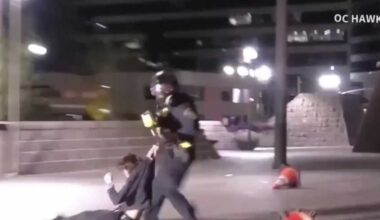 California anti-ICE demonstrator blinded in eye after federal agent fires projectile, aunt says