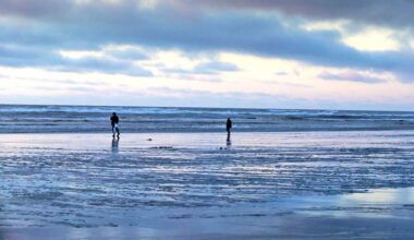 WDFW OKs seven days of razor clam digs starting Jan. 29