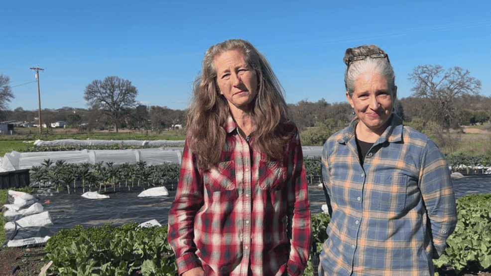 The International Year of the Woman Farmer highlights the vital role women play in agriculture, with two Northstate farmers, Audrey Pascone and Heather Austin of Red Gate Ranch in Red Bluff, recognized by California Grown.1/23/26 (KRCR) 