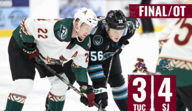 Tucson Roadrunners Hockey