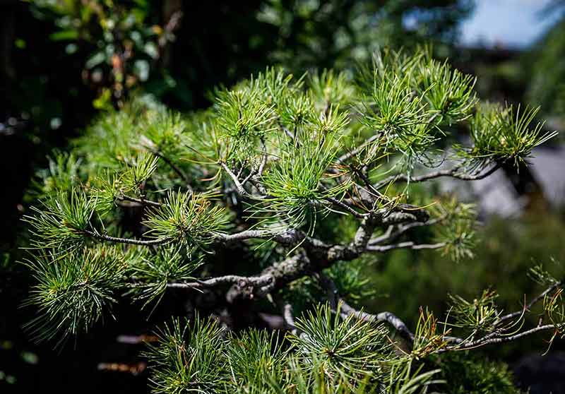 best things to do in long beach