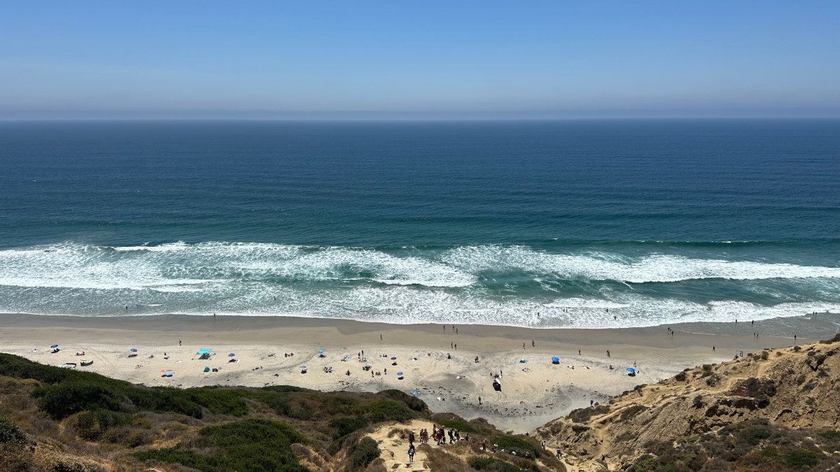 USCG detains 9 migrants off Black’s Beach – NBC 7 San Diego