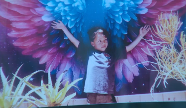 Driver accused of killing boy on bike in PB appears in court – NBC 7 San Diego