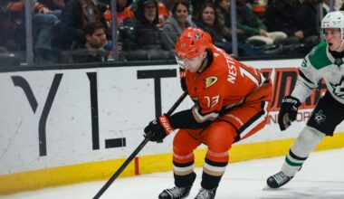 Ducks Assign Nesterenko to San Diego