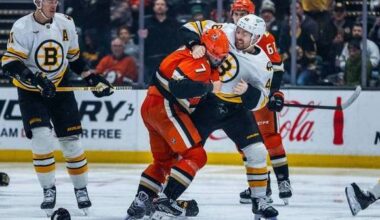 Anaheim Ducks acquire tough forward Jeffrey Viel from Boston Bruins in trade for 4th-round pick