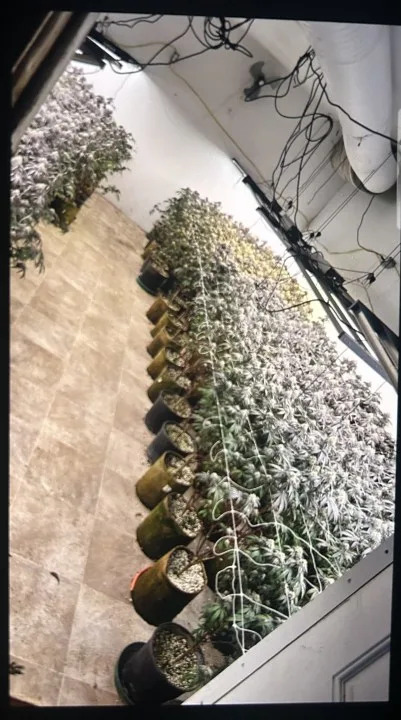 Photo courtesy of the Bakersfield Police Department