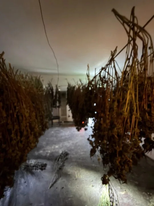 Photo courtesy of the Bakersfield Police Department