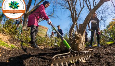 Sac State earns Carnegie Community Engagement designation for fourth time