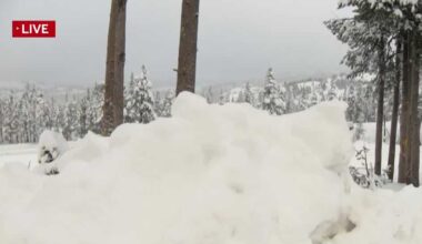 Here are rain and snow totals