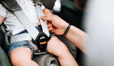 Fresno County secures funds for car seat education