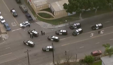 1 shot by police after pursuit ends in crash in Spring Valley – NBC 7 San Diego