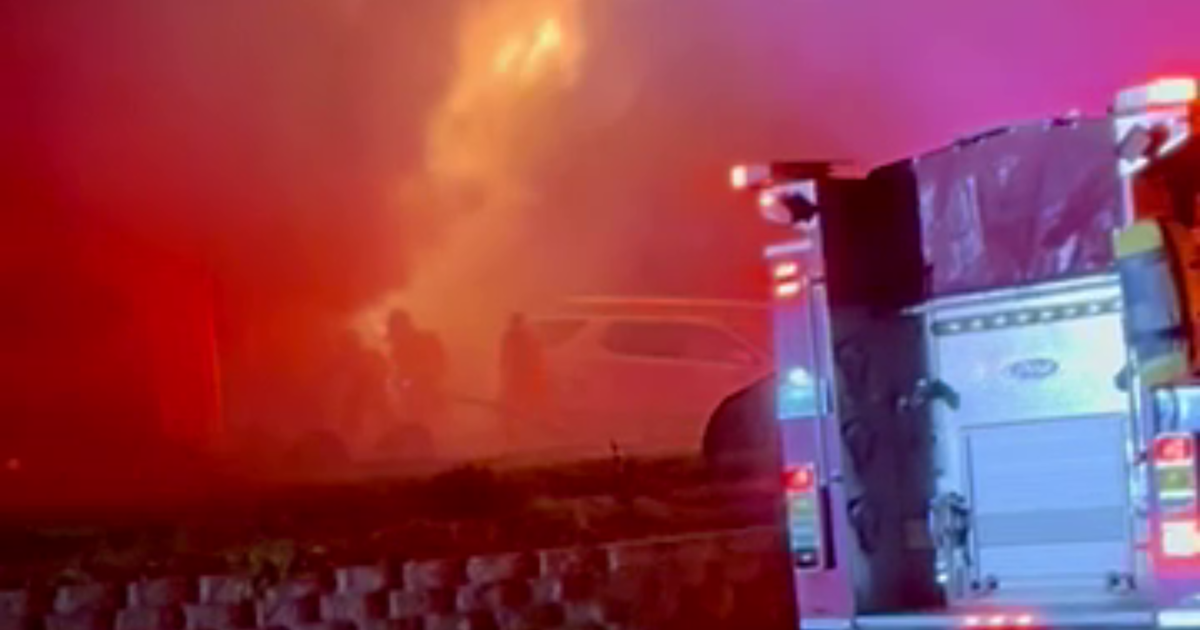 3 dogs killed, 1 person injured in Citrus Heights house fire on New Year's Eve