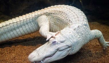 Out and about Jan. 15–21, 2026