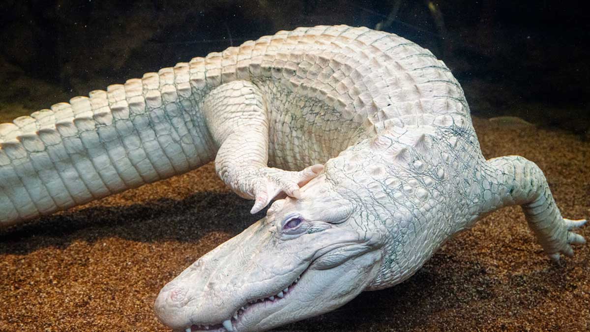 Out and about Jan. 15–21, 2026