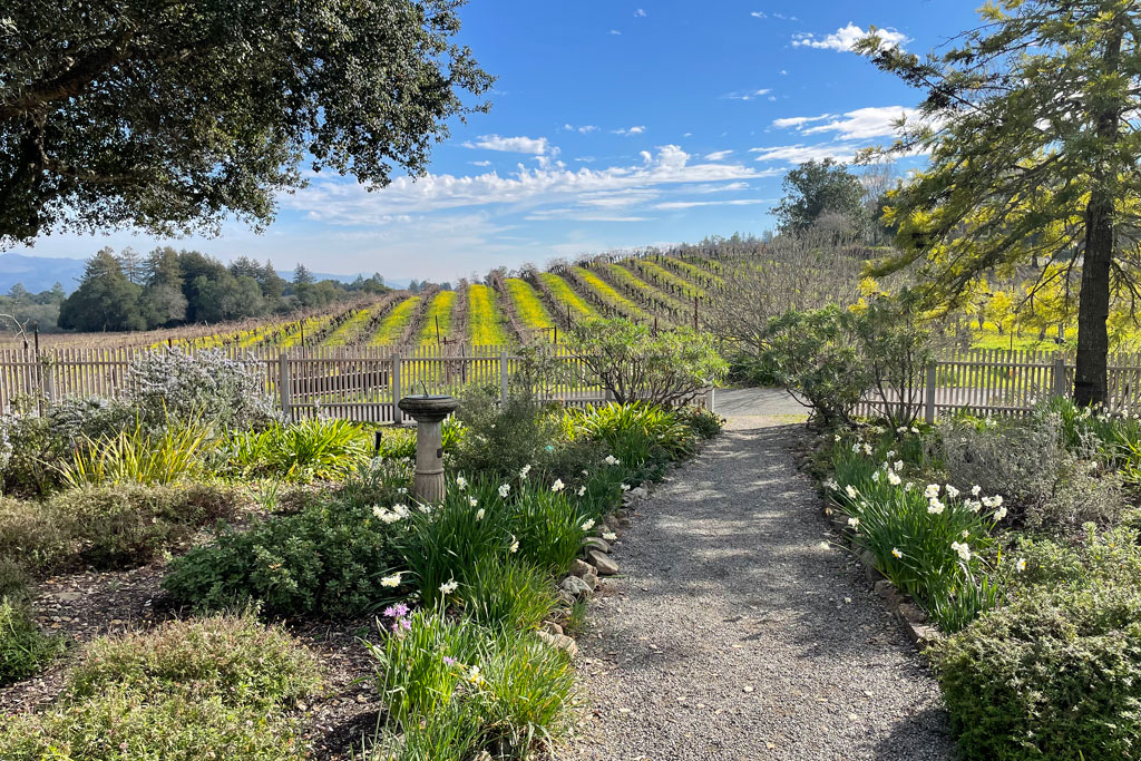 Visit California State Parks for Free on Martin Luther King, Jr. Day!