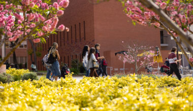 take CSU classes without committing to a full program • Brand stories