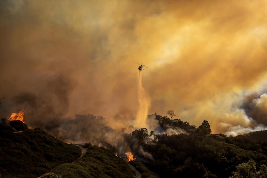 Water is dropped on a wildfire by helicopter.