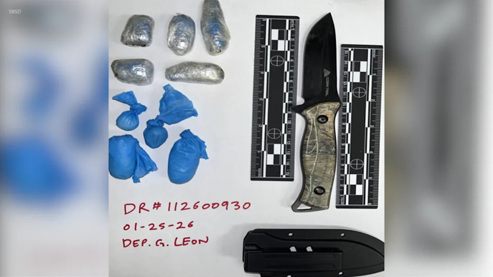 Purse thief nabbed by K-9