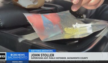 California high court rules loose marijuana in car does not warrant a search