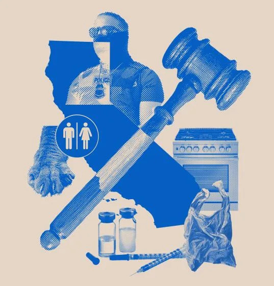 collage of photos related to CA's new laws in 2026: a stove, cat's claw, plastic bag, insulin, ICE agent wearing mask, gavel
