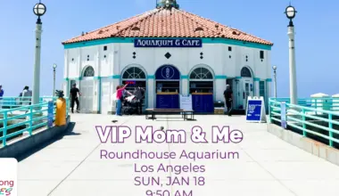 VIP Mom & Me Experience by Single Mom Strong LA