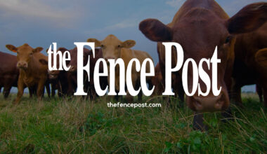 Costa: California drought-free, but farmers need water