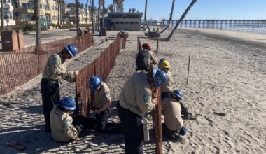 Dune project starts on Oceanside's northern beaches