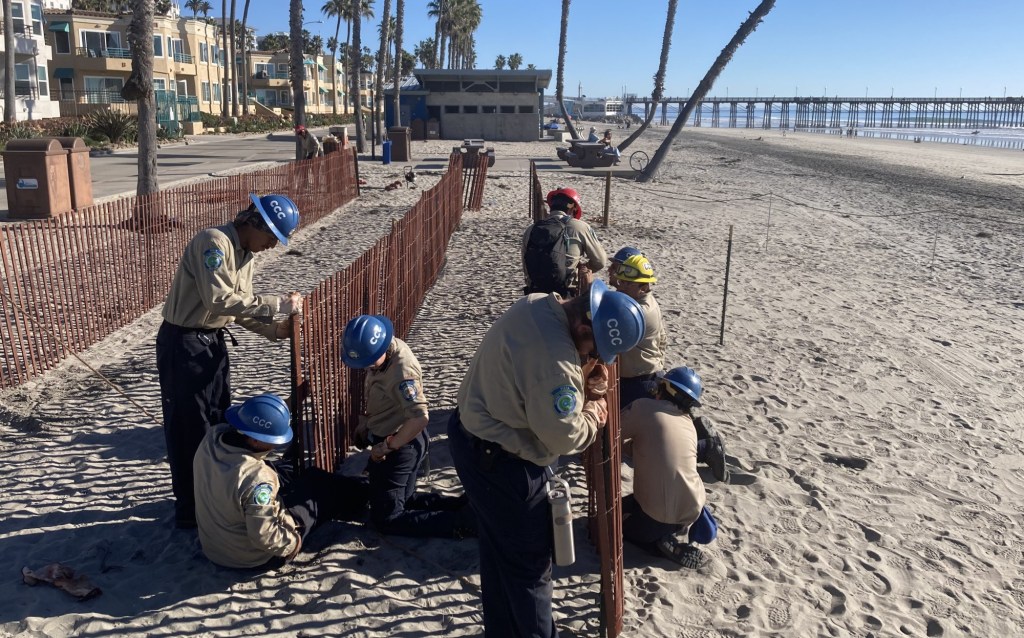 Dune project starts on Oceanside's northern beaches