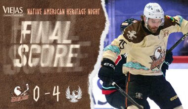 Gulls Fall to Firebirds | San Diego Gulls