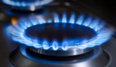 Feds sue the Bay Area cities of Morgan Hill, Petaluma over bans on natural gas in new buildings