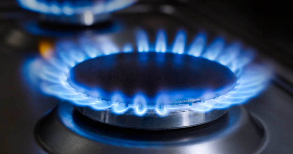 Feds sue the Bay Area cities of Morgan Hill, Petaluma over bans on natural gas in new buildings