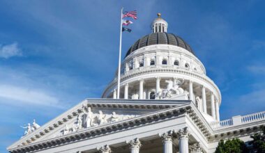 insulin cap, CSU auto-admission, bag crackdown