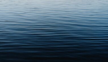 Body recovered from Lake Natoma near Black Miners Bar