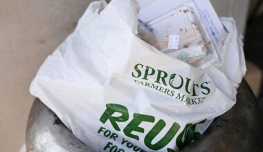 California plastic bag ban in effect: What to know