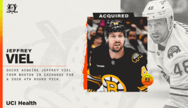 Ducks Acquire Viel from Boston