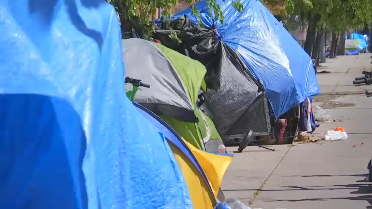 Volunteers head out for first night of 2026 homeless count – NBC Los Angeles