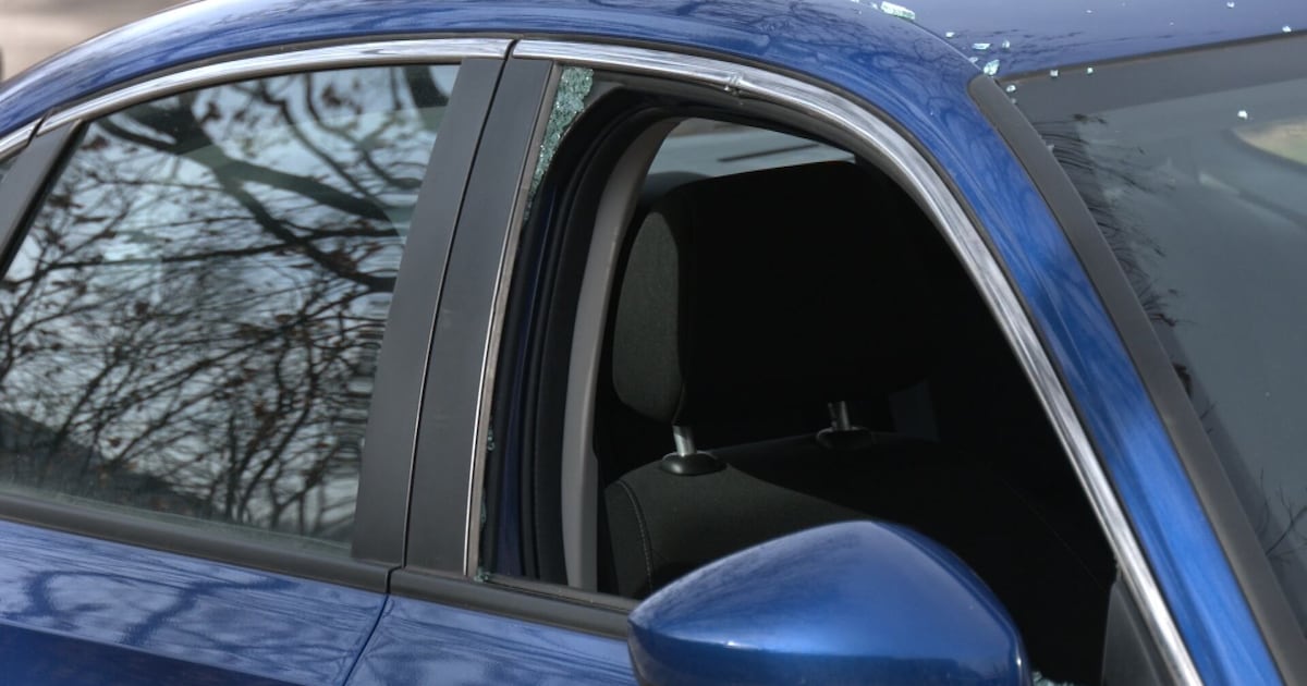 Thief smashes windows, vandalizing several cars in South Oakland – WPXI