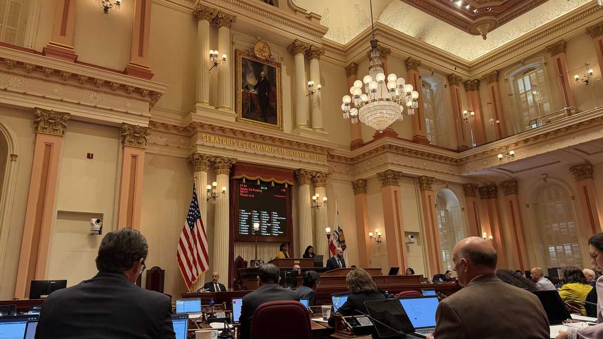 California Senate passes 'No Kings Act' to make it easier to sue federal agents in the state