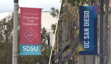 UC San Diego international enrollment climbs despite nationwide decline – NBC 7 San Diego