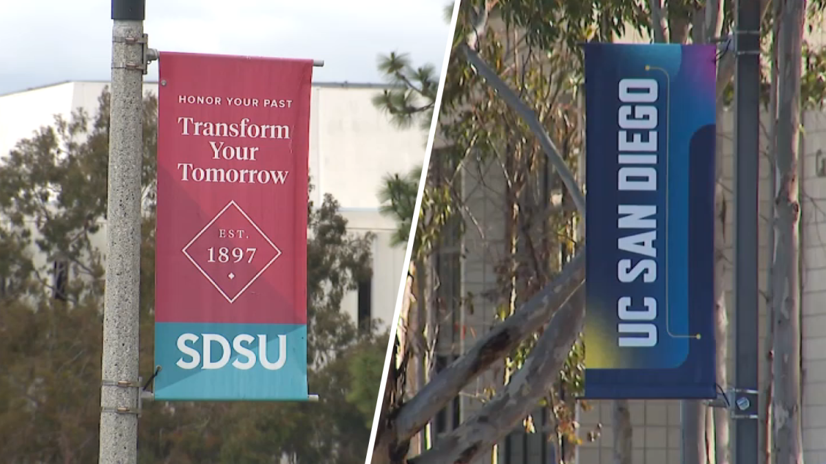 UC San Diego international enrollment climbs despite nationwide decline – NBC 7 San Diego