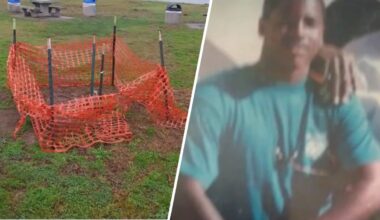 Memorial tree for teenager killed at Crown Point vandalized – NBC 7 San Diego