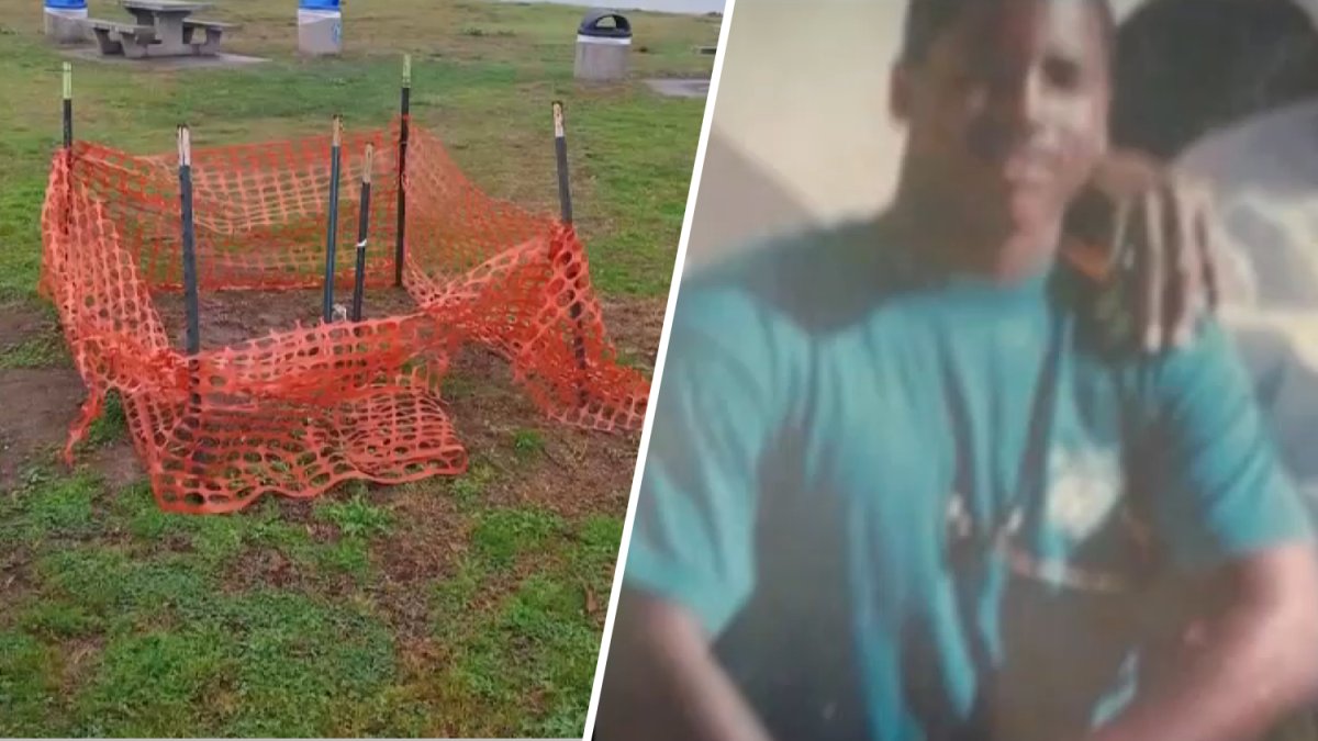 Memorial tree for teenager killed at Crown Point vandalized – NBC 7 San Diego