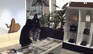 California arrests 2 suspects allegedly stealing $100K luxury handbags