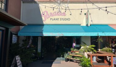 Paraíso Plant Studio moves into former Market Hall space; American Giant, Vans close on Fourth Street 
