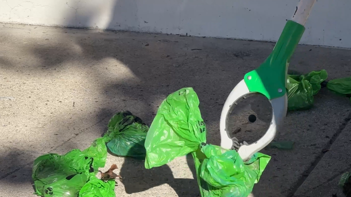 Law enforcement does not deem dog poop thrown at Bell LGBTQ center as vandalism – NBC Los Angeles