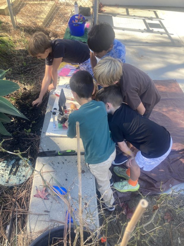 La Jolla Elementary School students gather organic material to look at under a microscope. (Provided by Kira Higgins)