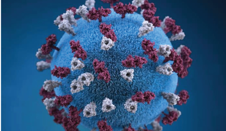 OC health officials report measles case – Orange County Register