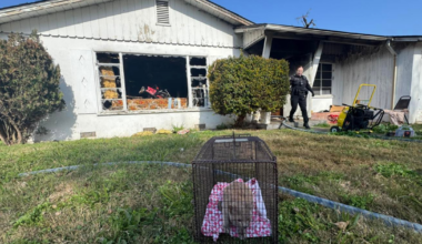 Person injured in Modesto house fire, 2 cats rescued