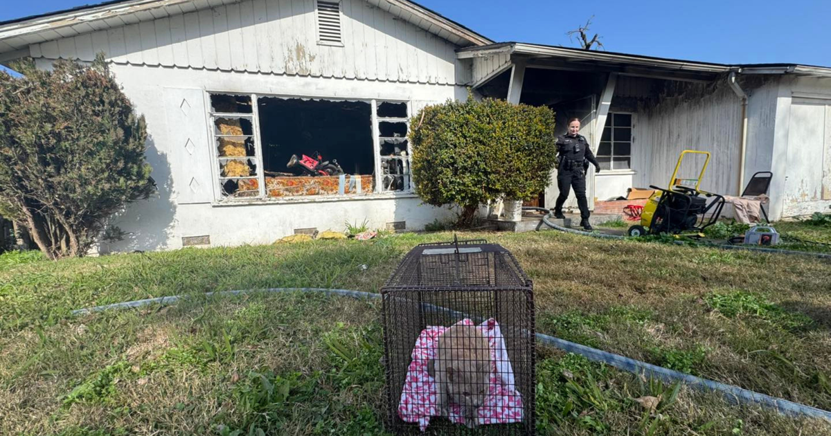 Person injured in Modesto house fire, 2 cats rescued
